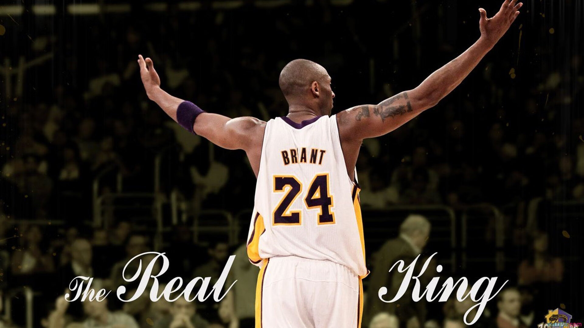 凯尔特人对阵黄蜂，锡安·威廉姆森发挥堪称完美的统治级表演