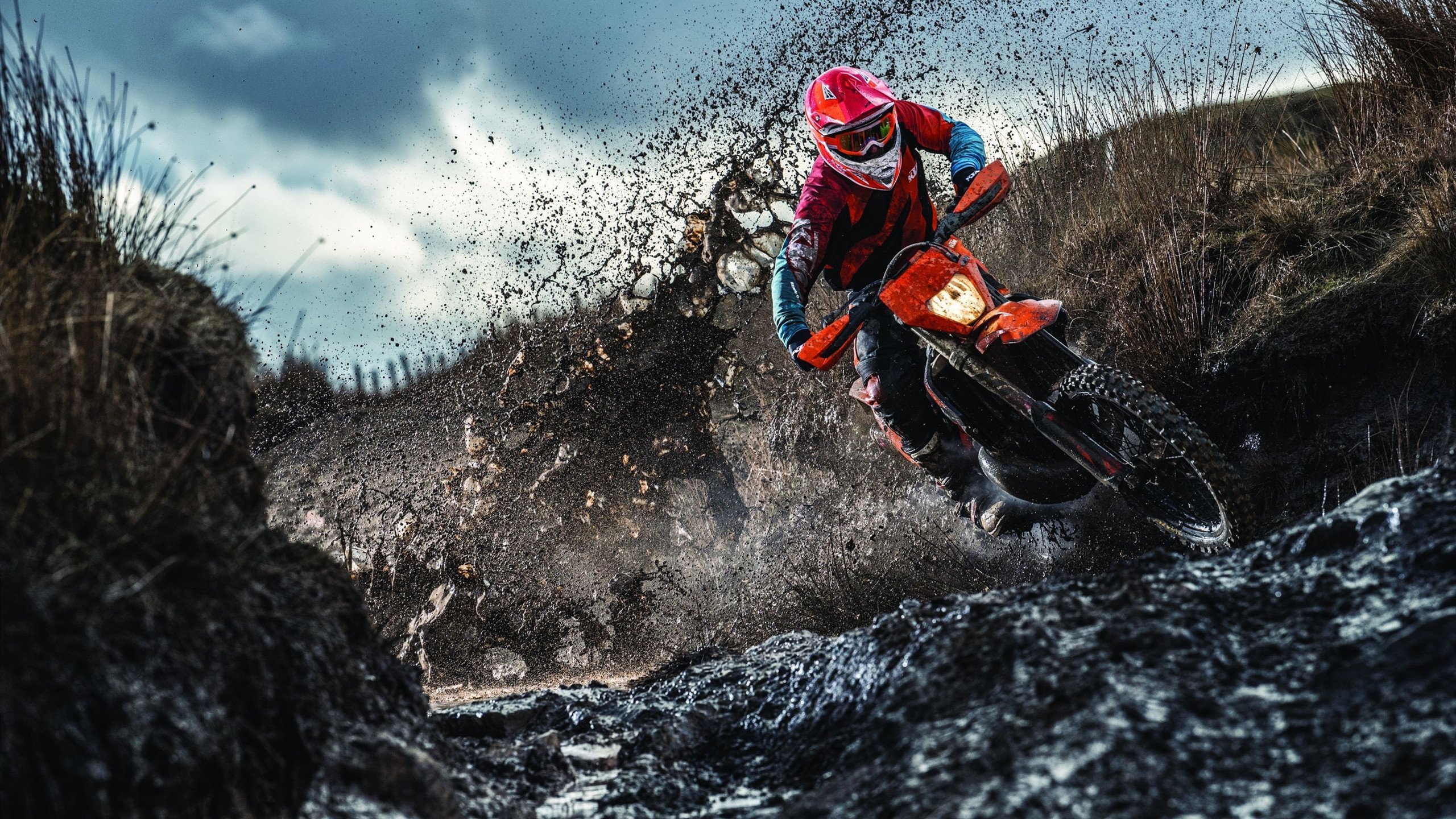 当斯坦福桥的蓝遇见伊布的黄，一场关于唯一性的暴力美学