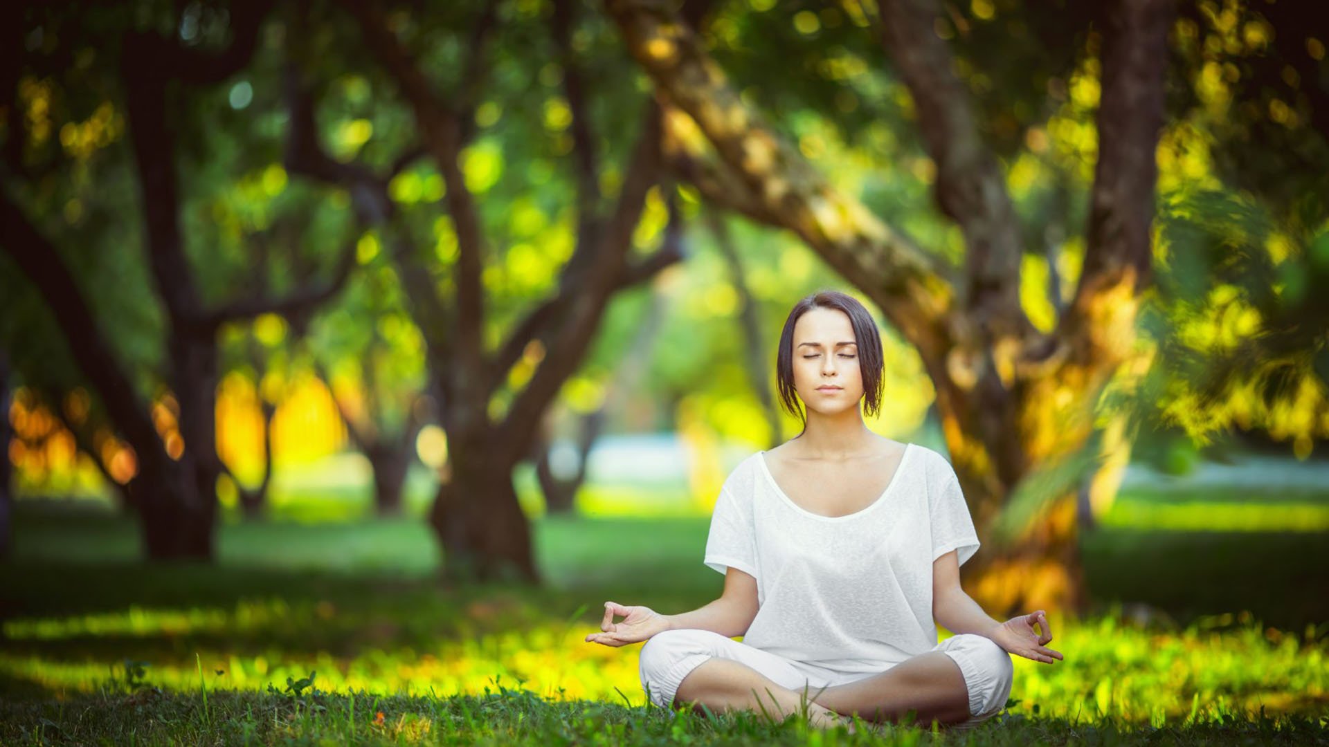 沙漠之狐的锋刃，当维尼修斯点燃2026世界杯A组最冷的火焰